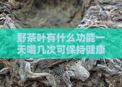 野茶叶有什么功能一天喝几次可保持健康效益