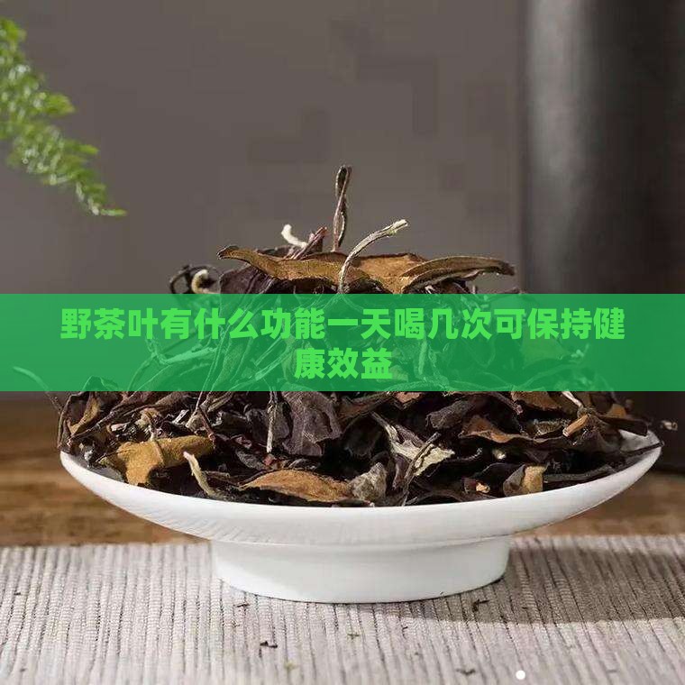 野茶叶有什么功能一天喝几次可保持健康效益