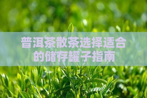 普洱茶散茶选择适合的储存罐子指南