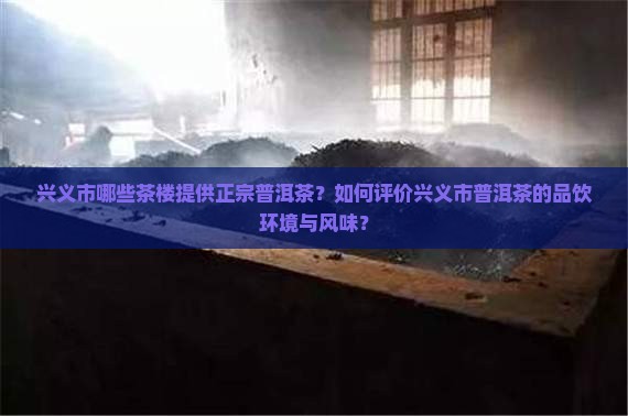 兴义市哪些茶楼提供正宗普洱茶？如何评价兴义市普洱茶的品饮环境与风味？