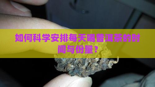 如何科学安排每天喝普洱茶的时间与份量？