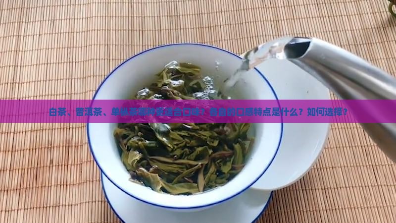 白茶、普洱茶、单枞茶哪种更适合口味？各自的口感特点是什么？如何选择？
