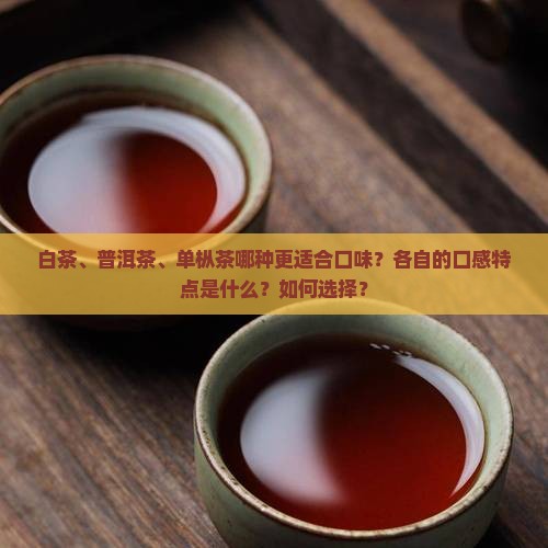 白茶、普洱茶、单枞茶哪种更适合口味？各自的口感特点是什么？如何选择？
