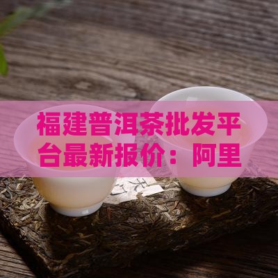 福建普洱茶批发平台最新报价：阿里价格一览