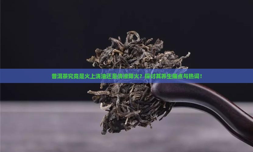 普洱茶究竟是火上浇油还是清凉降火？探讨其养生痛点与热词！