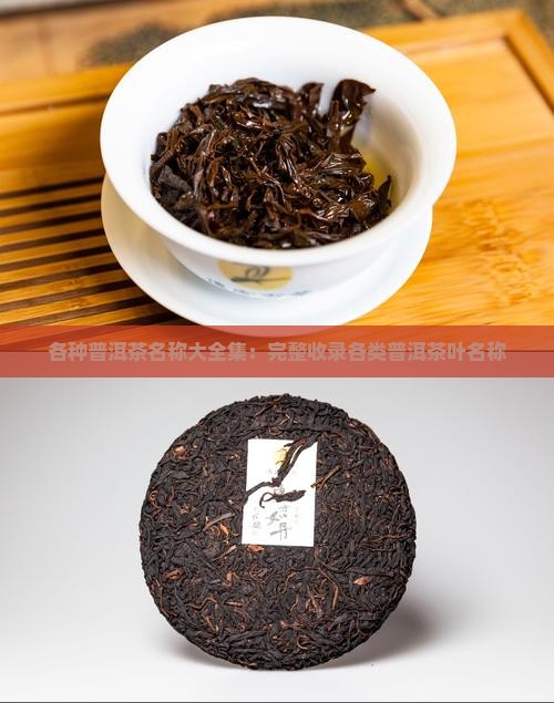各种普洱茶名称大全集：完整收录各类普洱茶叶名称