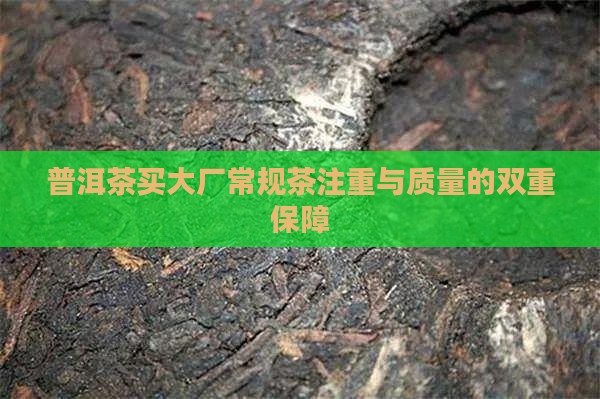 普洱茶买大厂常规茶注重与质量的双重保障