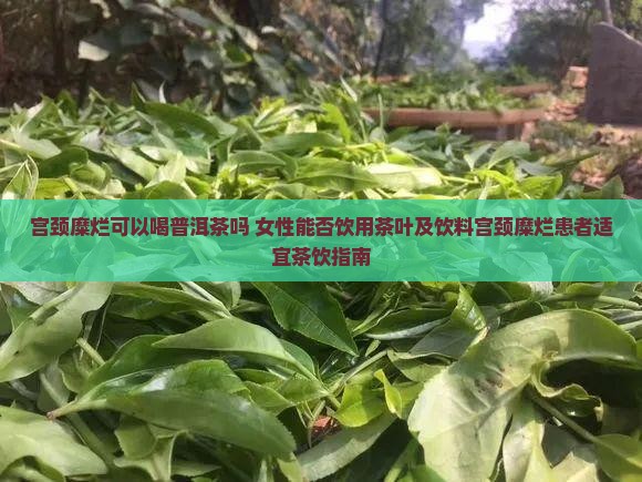 宫颈糜烂可以喝普洱茶吗 女性能否饮用茶叶及饮料宫颈糜烂患者适宜茶饮指南