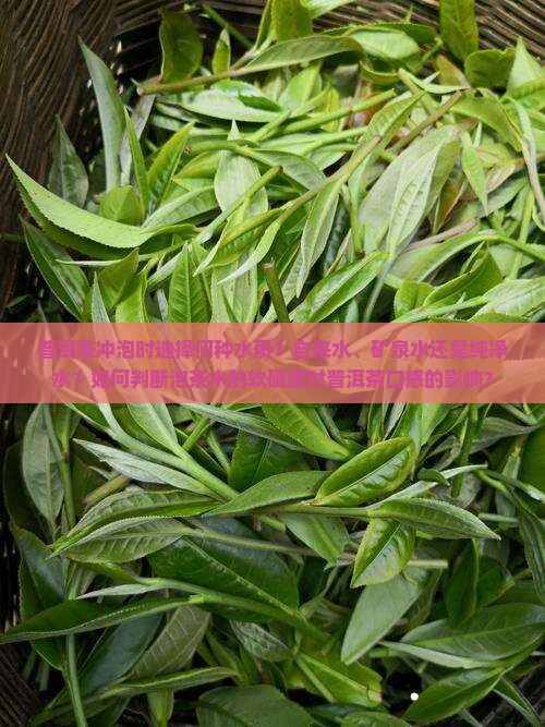 普洱茶冲泡时选择何种水质？自来水、矿泉水还是纯净水？如何判断泡茶水的软硬度对普洱茶口感的影响？