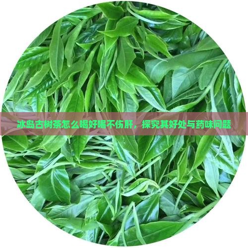 冰岛古树茶怎么喝好喝不伤肝，探究其好处与药味问题