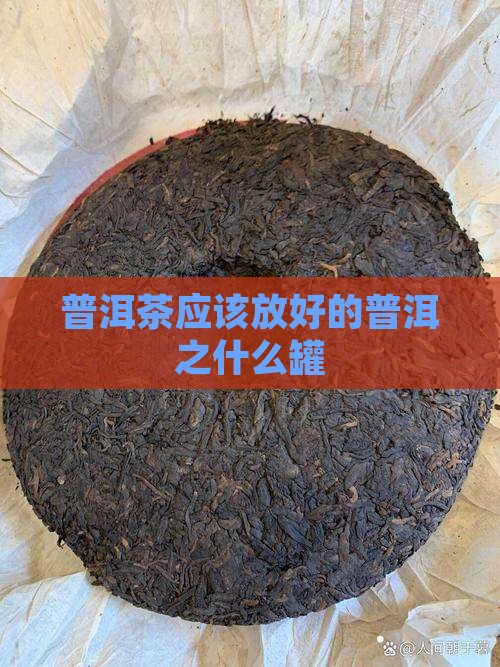 普洱茶应该放好的普洱之什么罐