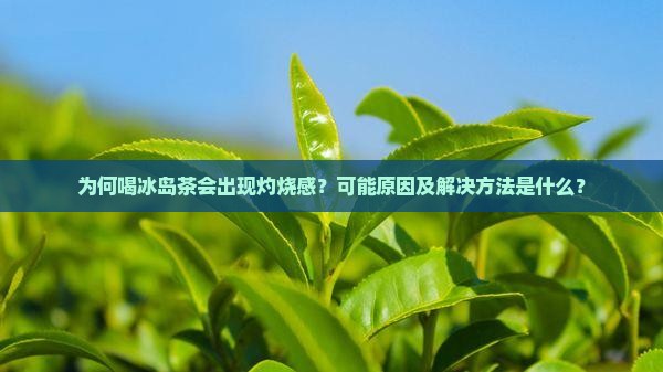 为何喝冰岛茶会出现灼烧感？可能原因及解决方法是什么？