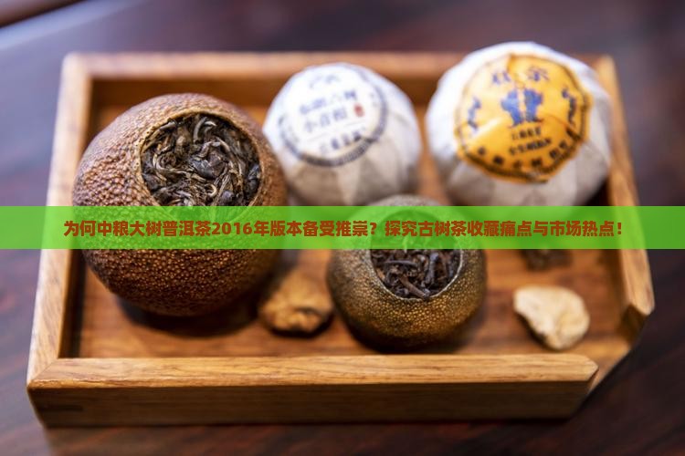 为何中粮大树普洱茶2016年版本备受推崇？探究古树茶收藏痛点与市场热点！
