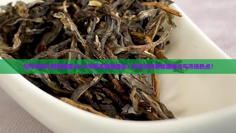 为何中粮大树普洱茶2016年版本备受推崇？探究古树茶收藏痛点与市场热点！