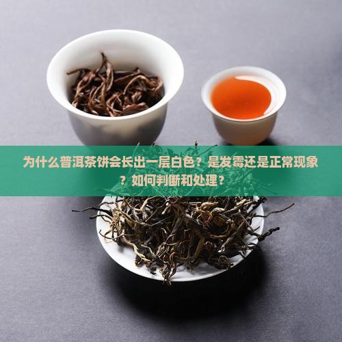 为什么普洱茶饼会长出一层白色？是发霉还是正常现象？如何判断和处理？
