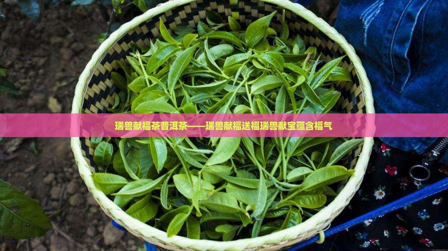 瑞兽献福茶普洱茶——瑞兽献福送福瑞兽献宝蕴含福气