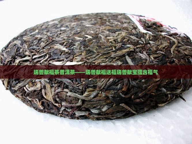 瑞兽献福茶普洱茶——瑞兽献福送福瑞兽献宝蕴含福气