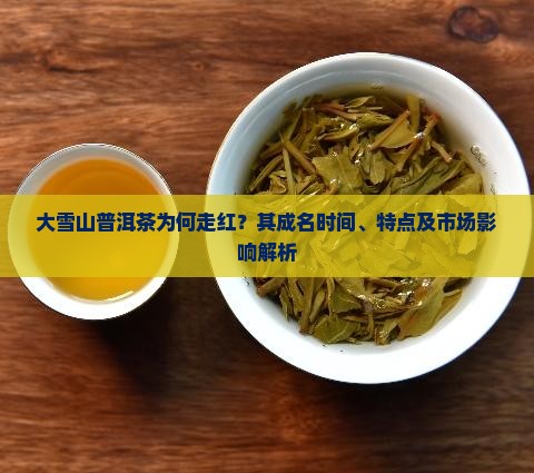 大雪山普洱茶为何走红？其成名时间、特点及市场影响解析