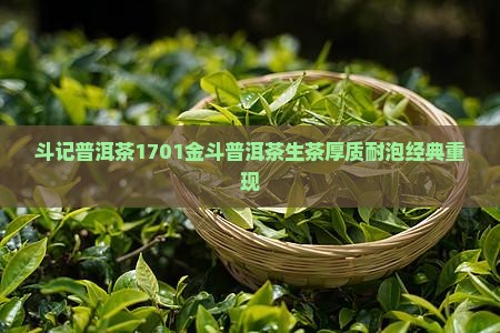 斗记普洱茶1701金斗普洱茶生茶厚质耐泡经典重现