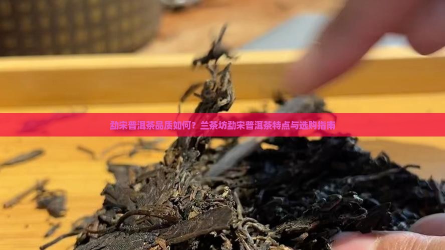 勐宋普洱茶品质如何？兰茶坊勐宋普洱茶特点与选购指南