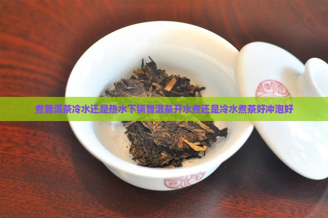 煮普洱茶冷水还是热水下锅普洱茶开水煮还是冷水煮茶好冲泡好 煮普洱茶冷水还是热水下锅普洱茶开水煮还是冷水煮茶好冲泡好