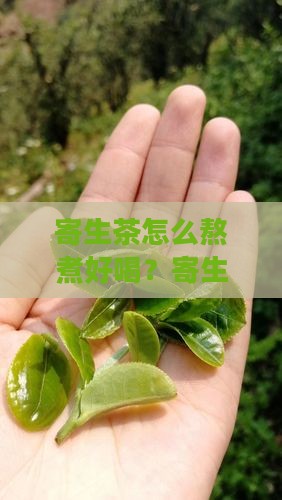 寄生茶怎么熬煮好喝？寄生茶的正确熬煮方法
