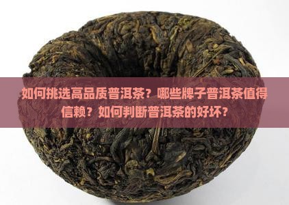 如何挑选高品质普洱茶？哪些牌子普洱茶值得信赖？如何判断普洱茶的好坏？