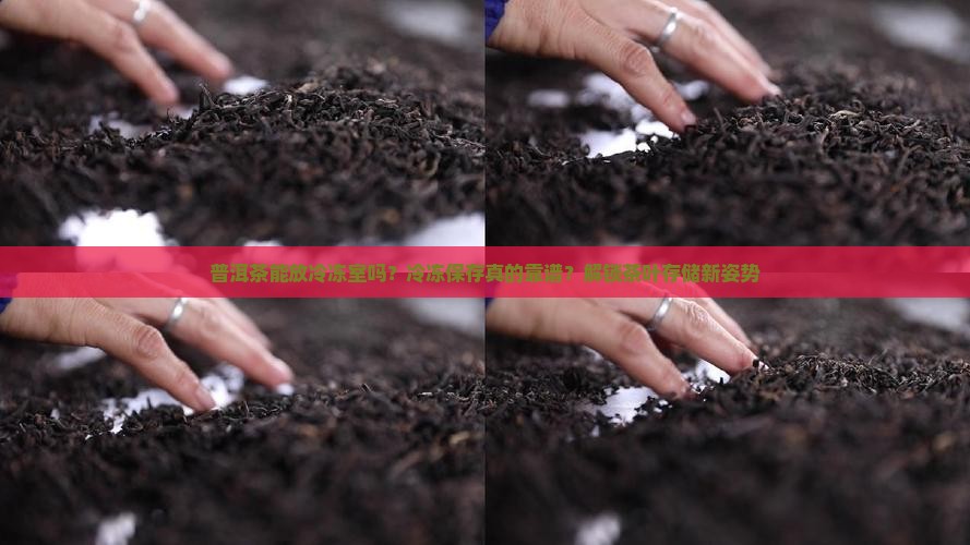 普洱茶能放冷冻室吗？冷冻保存真的靠谱？解锁茶叶存储新姿势