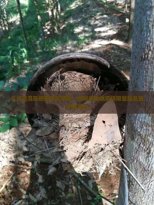 斗记普洱茶熟茶秦风厚韵：古树单株收藏级限量版品鉴评测报告