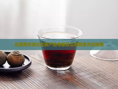 云南凤庆滇红红茶产地考察及公司联系方式指南