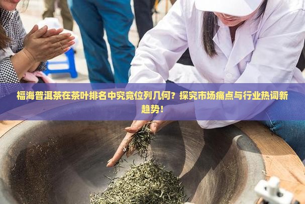 福海普洱茶在茶叶排名中究竟位列几何？探究市场痛点与行业热词新趋势！