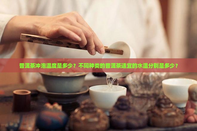 普洱茶冲泡温度是多少？不同种类的普洱茶适宜的水温分别是多少？