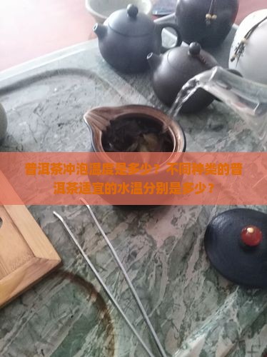 普洱茶冲泡温度是多少？不同种类的普洱茶适宜的水温分别是多少？