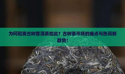 为何和美古树普洱茶如此？古树茶市场的痛点与热词新趋势！