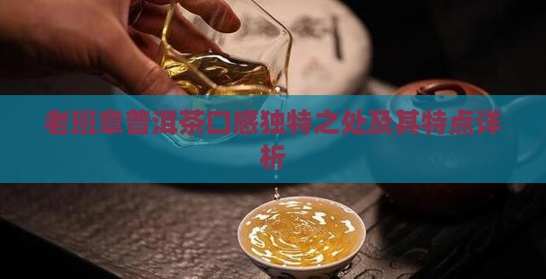 老班章普洱茶口感独特之处及其特点详析