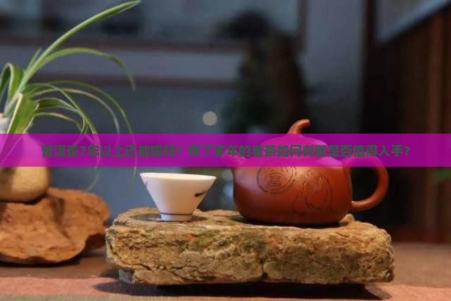 普洱茶7年以上还能喝吗？存了多年的老茶如何判断是否值得入手？
