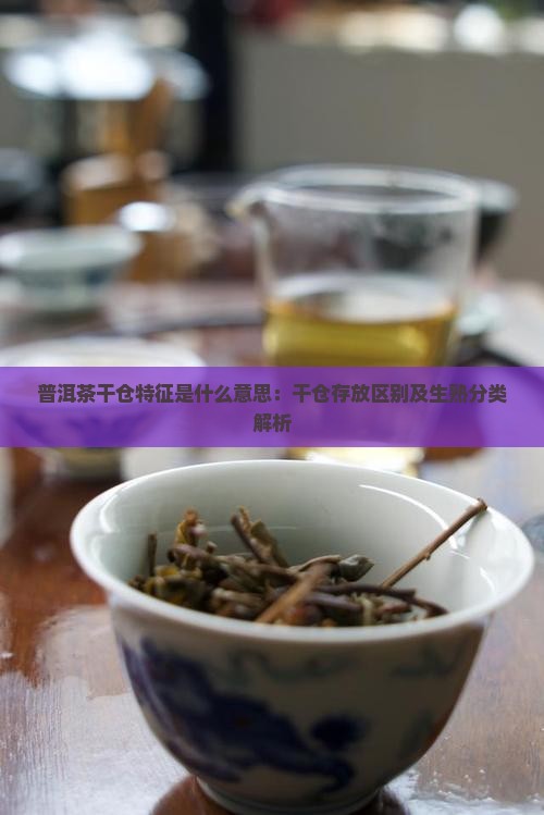 普洱茶干仓特征是什么意思：干仓存放区别及生熟分类解析