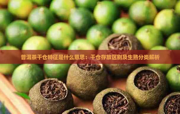普洱茶干仓特征是什么意思：干仓存放区别及生熟分类解析