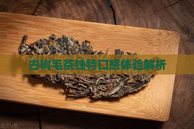 古树毛茶独特口感体验解析