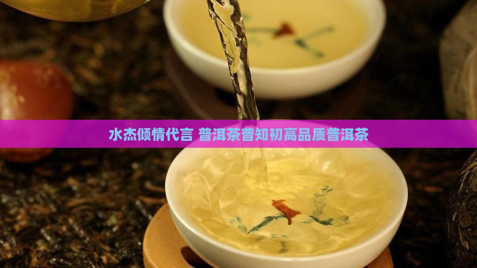 水杰倾情代言 普洱茶普知初高品质普洱茶