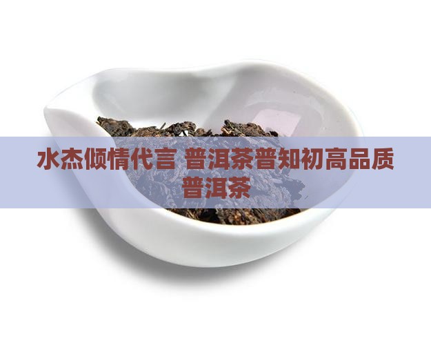 水杰倾情代言 普洱茶普知初高品质普洱茶