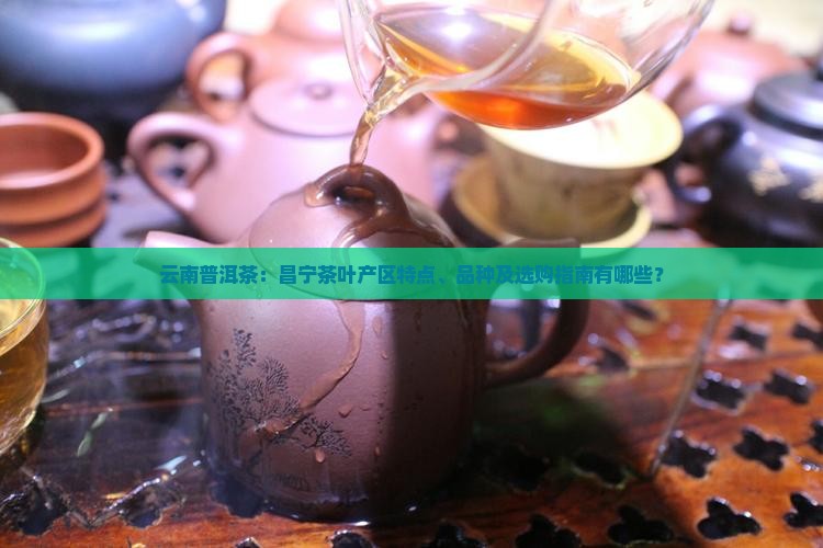 云南普洱茶：昌宁茶叶产区特点、品种及选购指南有哪些？