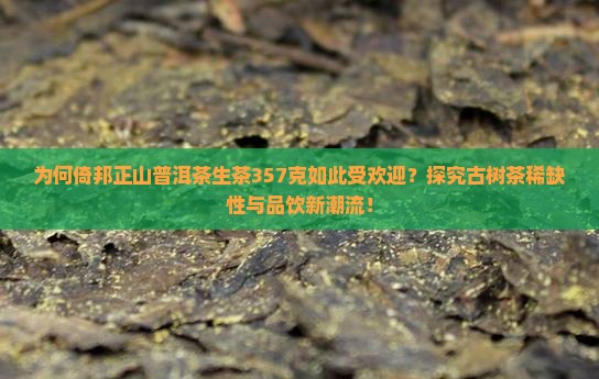 为何倚邦正山普洱茶生茶357克如此受欢迎？探究古树茶稀缺性与品饮新潮流！