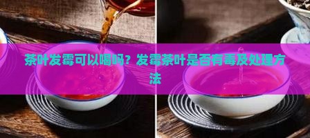 茶叶发霉可以喝吗？发霉茶叶是否有毒及处理方法