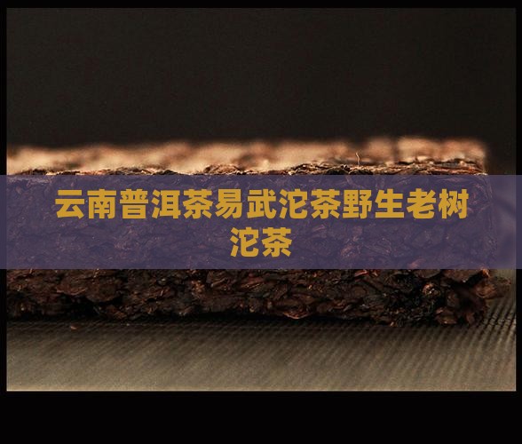 云南普洱茶易武沱茶野生老树沱茶