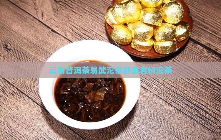 云南普洱茶易武沱茶野生老树沱茶