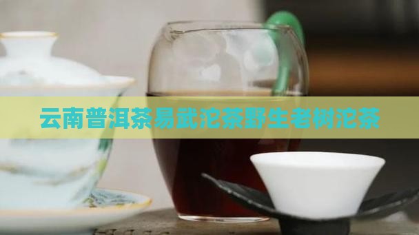云南普洱茶易武沱茶野生老树沱茶