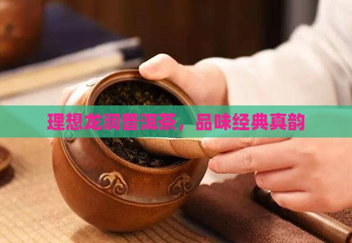 理想龙润普洱茶，品味经典真韵