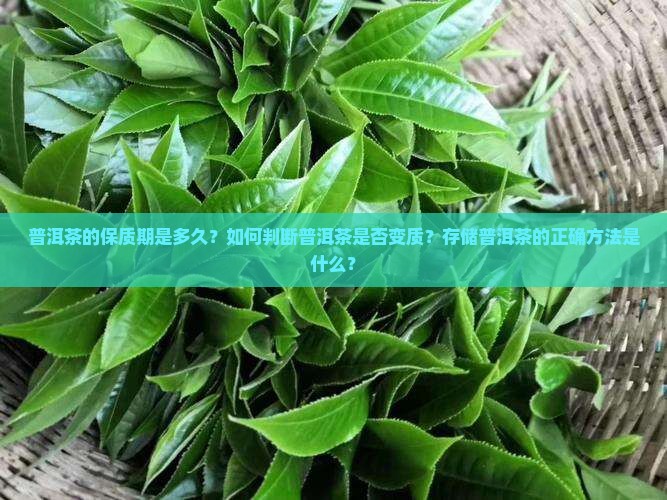 普洱茶的保质期是多久？如何判断普洱茶是否变质？存储普洱茶的正确方法是什么？