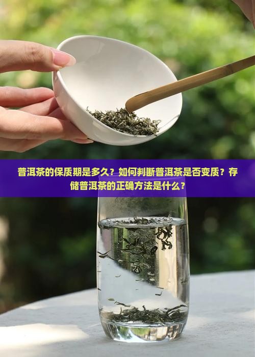 普洱茶的保质期是多久？如何判断普洱茶是否变质？存储普洱茶的正确方法是什么？